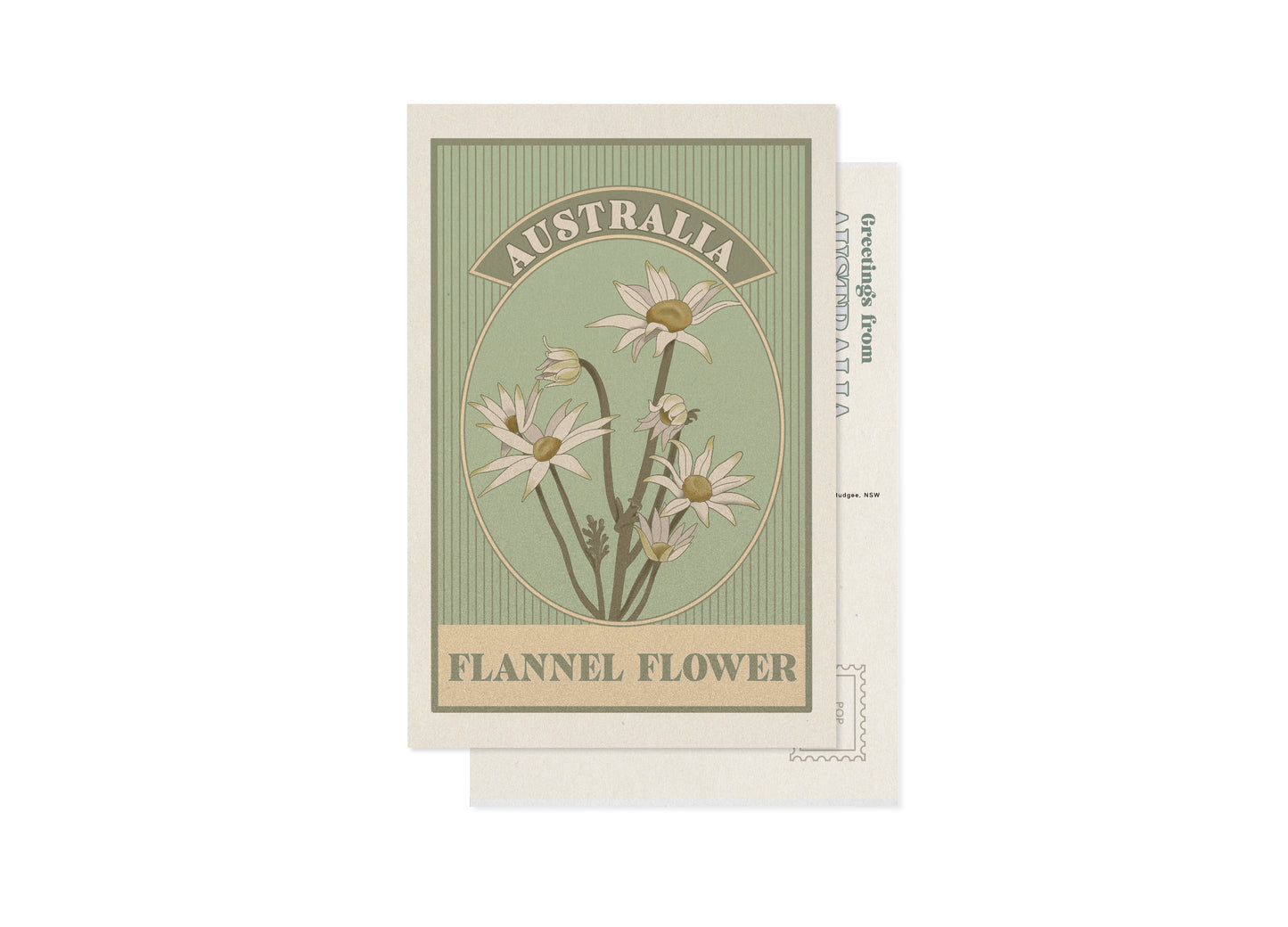 FLANNEL FLOWER POSTCARD