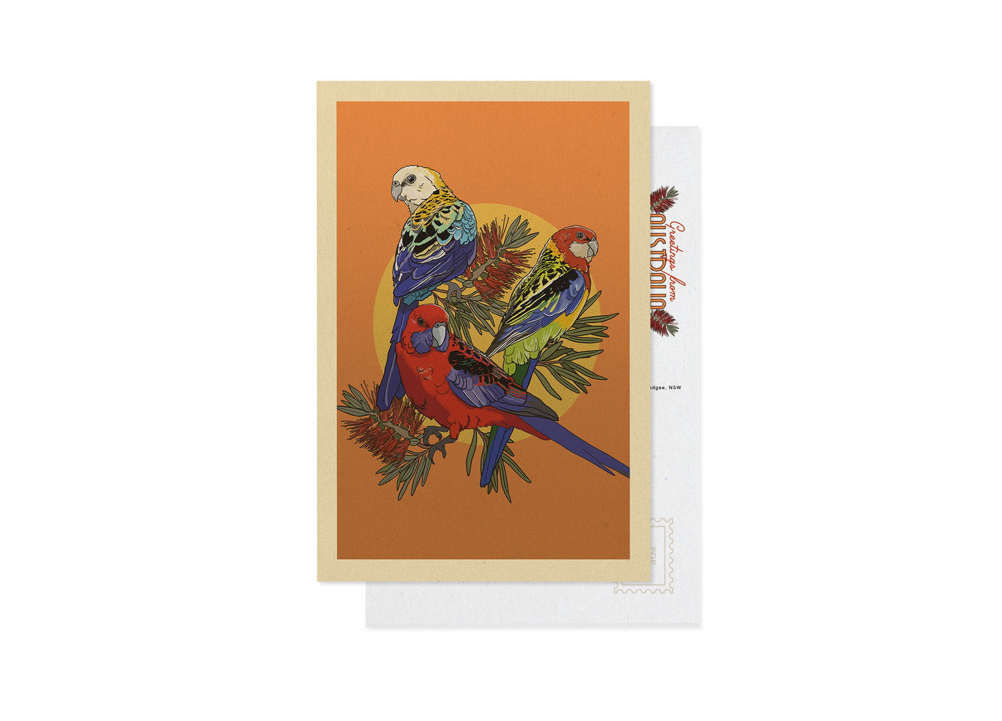 ROSELLAS POSTCARD