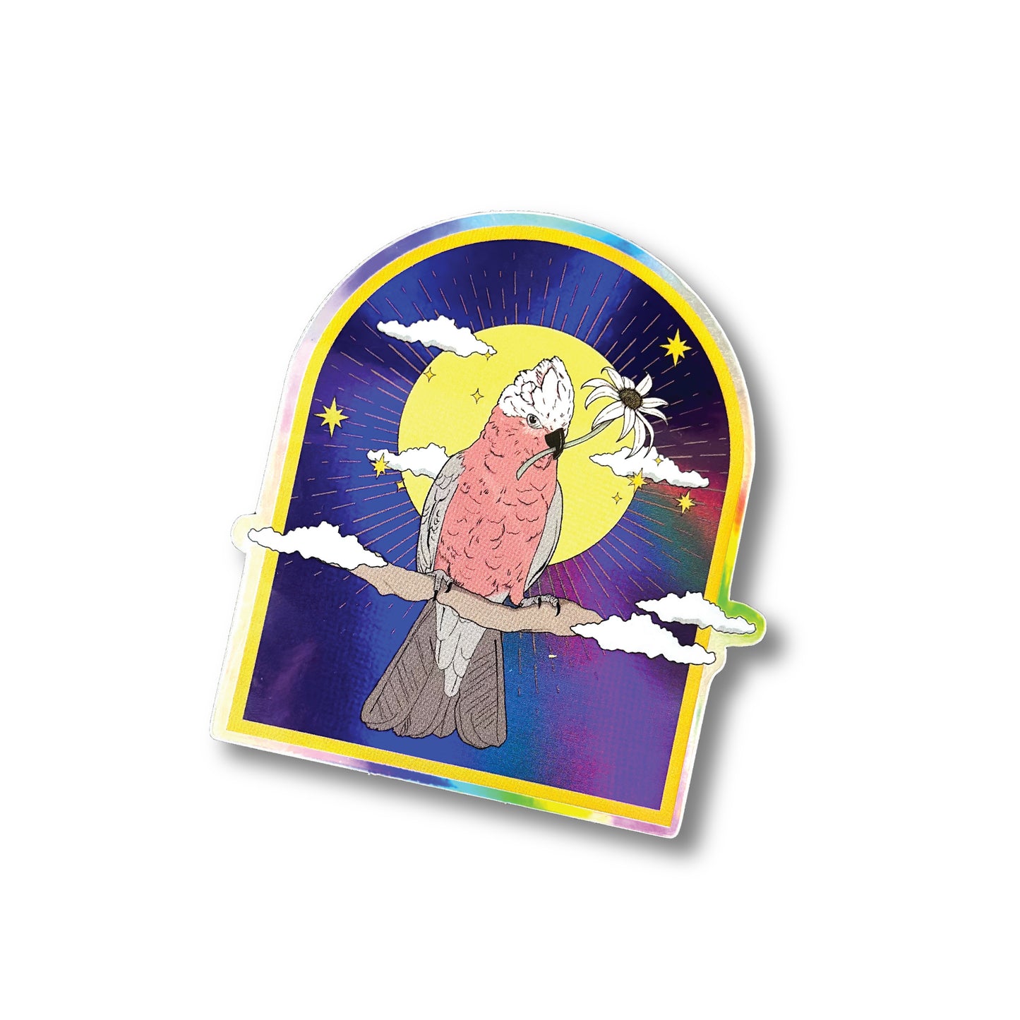 IMPERFECT / DISCONTINUED STICKERS