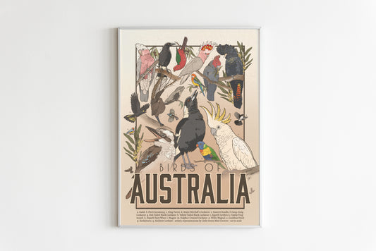 BIRDS OF AUSTRALIA POSTER