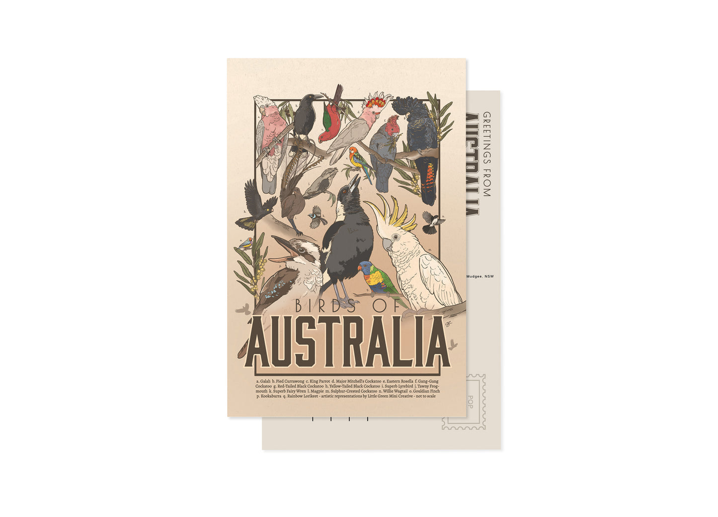 BIRDS OF AUSTRALIA POSTCARD