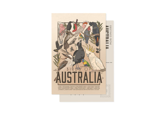 BIRDS OF AUSTRALIA POSTCARD