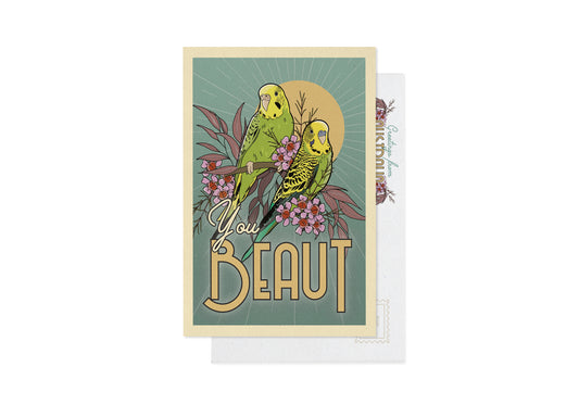 BUDGIES POSTCARD