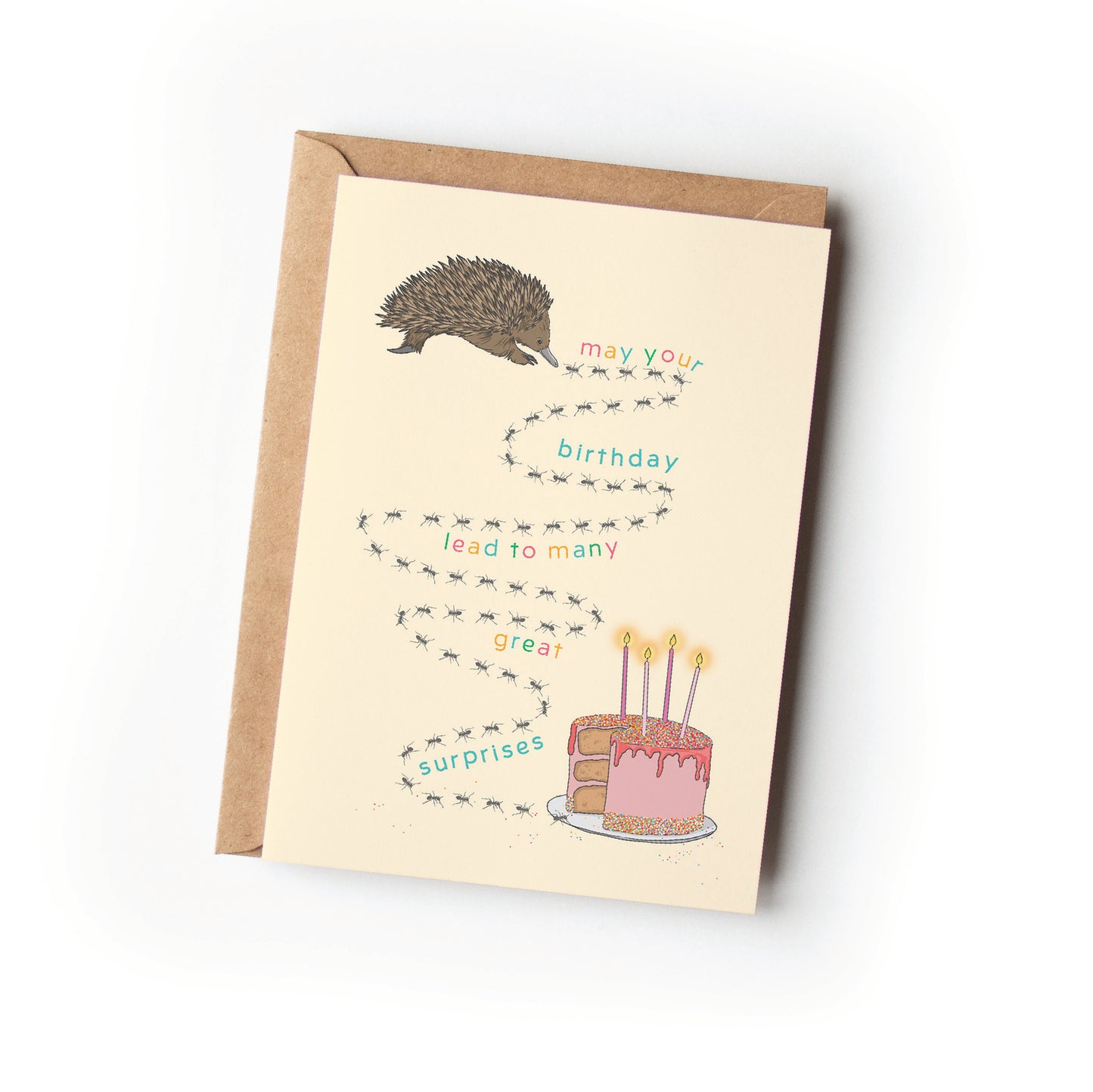 ECHIDNA SURPRISE BIRTHDAY CARD