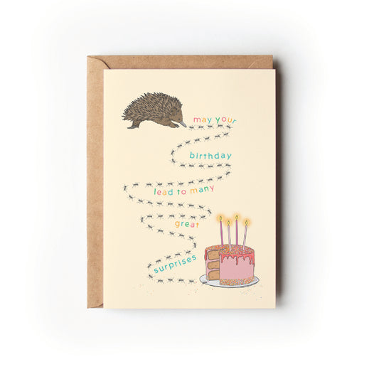 ECHIDNA SURPRISE BIRTHDAY CARD