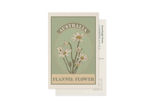 FLANNEL FLOWER POSTCARD
