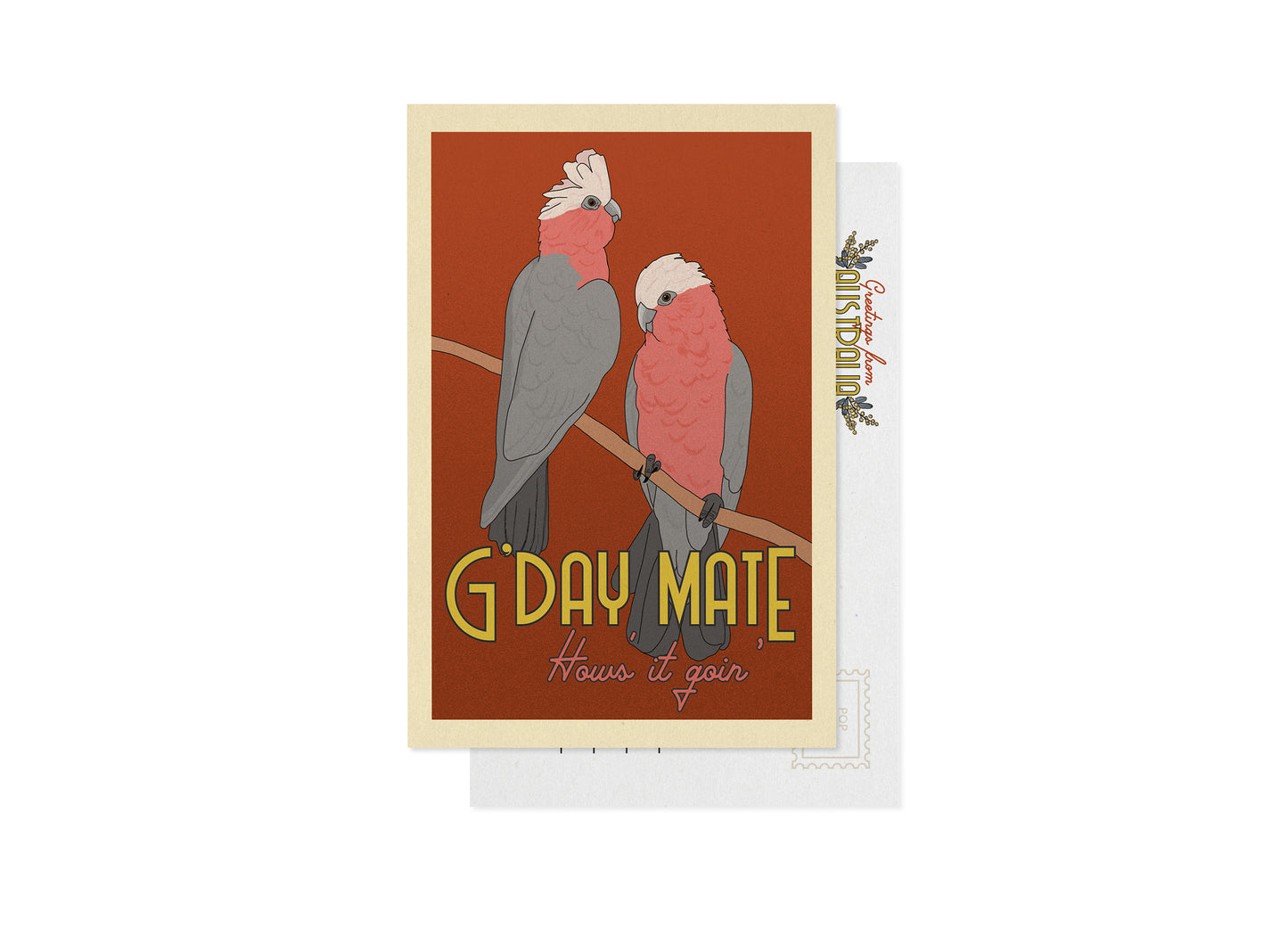 GALAHS POSTCARD