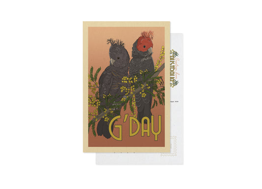 GANG-GANG COCKATOOS POSTCARD