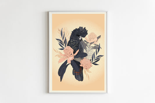 RED TAILED BLACK COCKATOO POSTER
