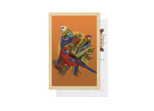 ROSELLAS POSTCARD