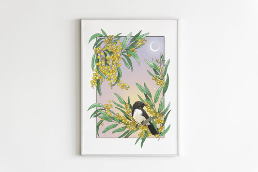 WILLIE WAGTAIL POSTER